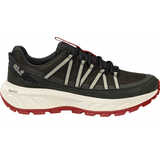 Кроссовки трейл WILD HIKE TEXAPORE LOW M - картинка