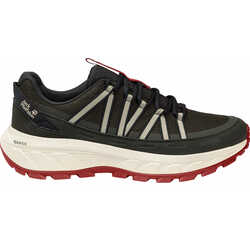 Кроссовки трейл WILD HIKE TEXAPORE LOW M - картинка