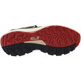 Кроссовки трейл WILD HIKE TEXAPORE LOW M - картинка 5