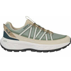 Кроссовки трейл WILD HIKE TEXAPORE LOW M - картинка