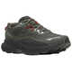 Кроссовки трейл AGILITY TRAIL GTX - картинка 1