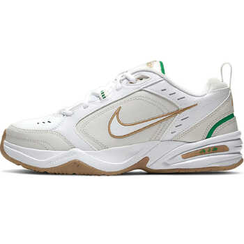 Кросівки AIR MONARCH IV