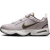 Кросівки AIR MONARCH IV - картинка