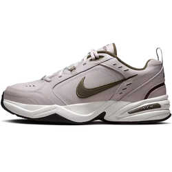 Кросівки AIR MONARCH IV